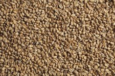 Солод Chateau Wheat Blanc пшеничный  3,5-5,0 ЕВС Castle Malting 1кг