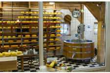 Оборудование и материалы для приготовления сыров